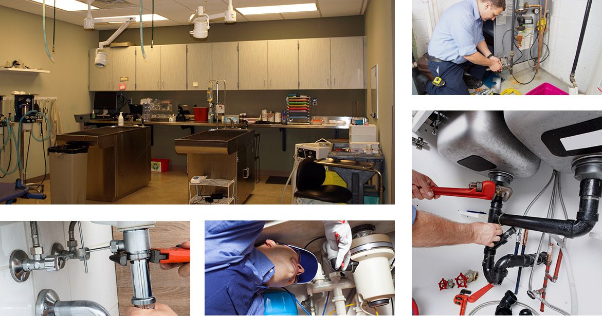 Professional plumbing services